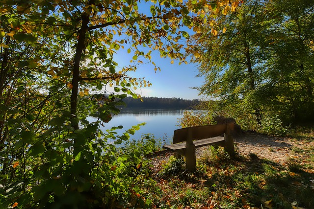 迅速吸引了 迅速吸引了